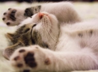 12 Bí Quyết Giúp Bạn Ngủ Ngon Hơn
